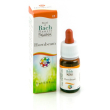 bach flowers nls hornbeam 10ml
