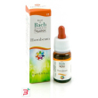 hornbeam guna gocce 10 ml