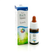 fiori di bach flowers 19 - larch 10ml, rimedio floreale per prudenza e audacia