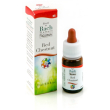 bachflowers 25 redchestnut10ml
