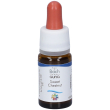 sweet chestnut guna gocce 10 ml ml orali