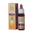 resource remedy 20 ml guna