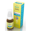 resource remedy fiori di bach spray 10ml