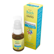 guna resource remedy spray 10ml