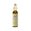 schwabe fiori di bach 16 honeysuckle gocce 10ml