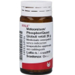 wala meteoreisen phosphor quarz 20 g gl