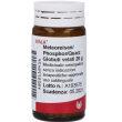 meteoreisen phosphor quarz 20 g globuli wala