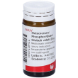 meteoreisen phosphor quarz 20 g globuli wala g