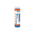 apis mellifica sgl 7ch 4g gr