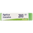 agaricus muscarius 200ch globuli