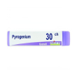 pyrogenium sgl 030/lm gl