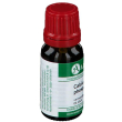 calcium sulfuricum 21 lm gocce orali 10 ml arcana – rimedio omeopatico a base di calcium