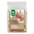 fio fiocchi avena 500g