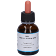 msa betula pubescens gocce 50 ml orali