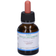 msa ulmus campestris gocce 50 ml orali