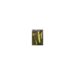 msa carpinus betulus 50 ml ml gocce orali