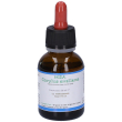msa corylus avellana gocce 50 ml orali