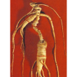 herboplanet tsa panax ginseng 50m