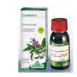 ribes nero gemme 100ml