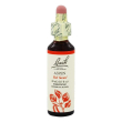 bach center ess aspen 20ml