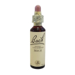 beech bach center essenza 20ml