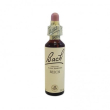 bach center ess beech 20ml