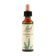 bach center ess cherry plum20m