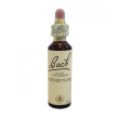 bach center ess cherry plum20m