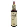 bach center ess gentian 20ml