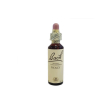 bach center ess holly 20ml