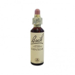 bach center ess impatiens 20ml