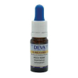bach center ess larch 20ml
