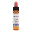 bach center ess mimulus 20ml