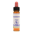 mimulus ntu*bc ess 20ml