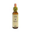 bach center ess mimulus 20 ml