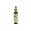 bach center ess red chestnut20