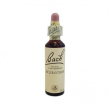 bach center ess sclerantus20ml