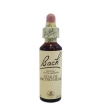 bach center ess star bethlehem 20 ml