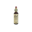 bach center ess vervain 20ml