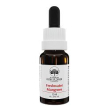 bach center ess walnut 20ml