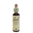 bach center ess walnut 20 ml