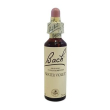 bach center water violet 20natur