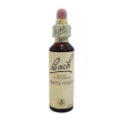 bach center ess water violet20