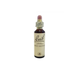 bach center ess white chestn20