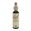 bach center essenza wild rose 20 ml - fiore di bach wild rose per apatia e rassegnazione