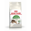 rc outdoor 30 400gr gatto minsan 900186786