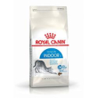 rc indoor 27 10kg gatto minsan 900186851