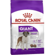 shn giant adult 15kg