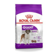 rc giant adult 28 15kg minsan 900187030