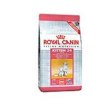 fhn second age kitten 10kg